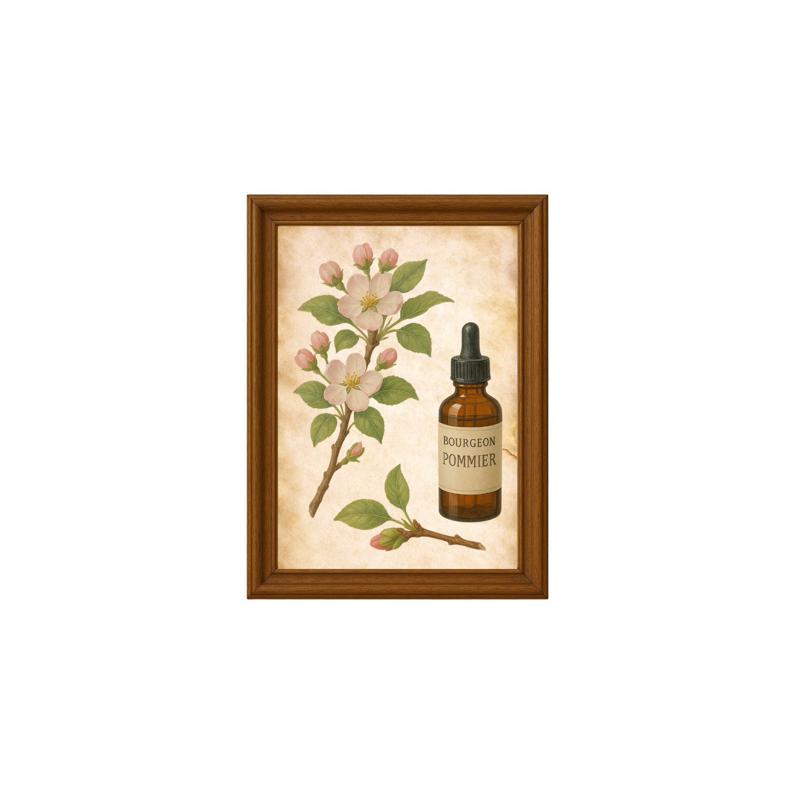 Gemmothérapie et phytothérapie en général