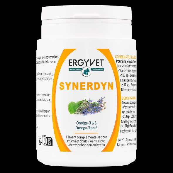 Synerdyn