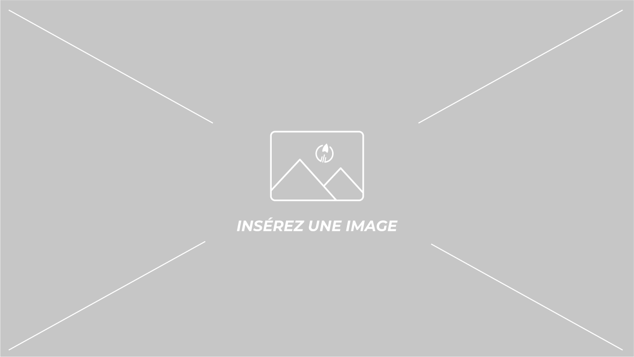Le système digestif